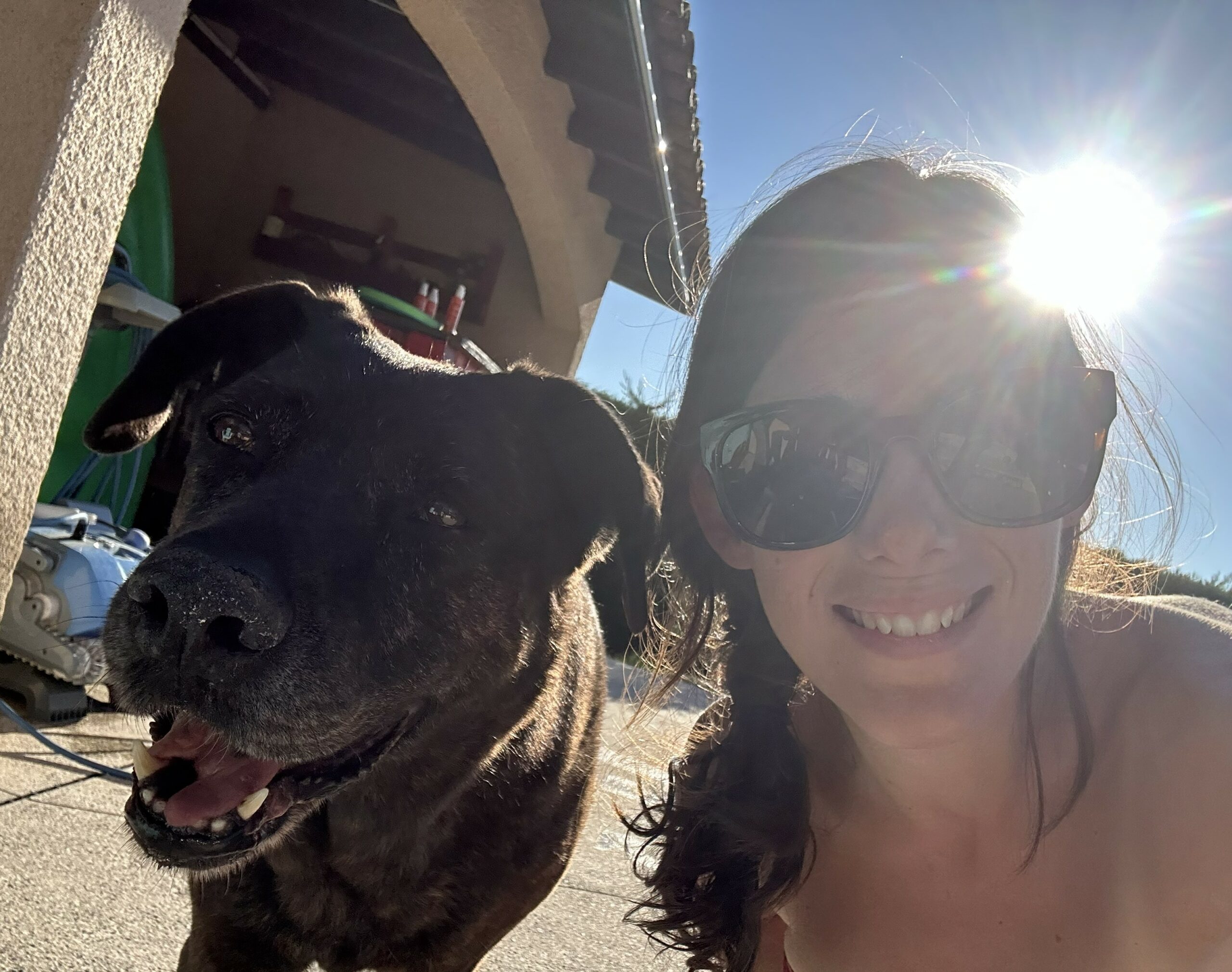 JE PARS EN VACANCES CET ETE – ET MON CHIEN ALORS ?